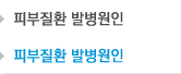 피부질환 발병원인