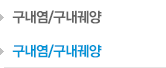 구내염/구내궤양