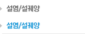 설염/설궤양