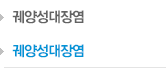 궤양성대장염