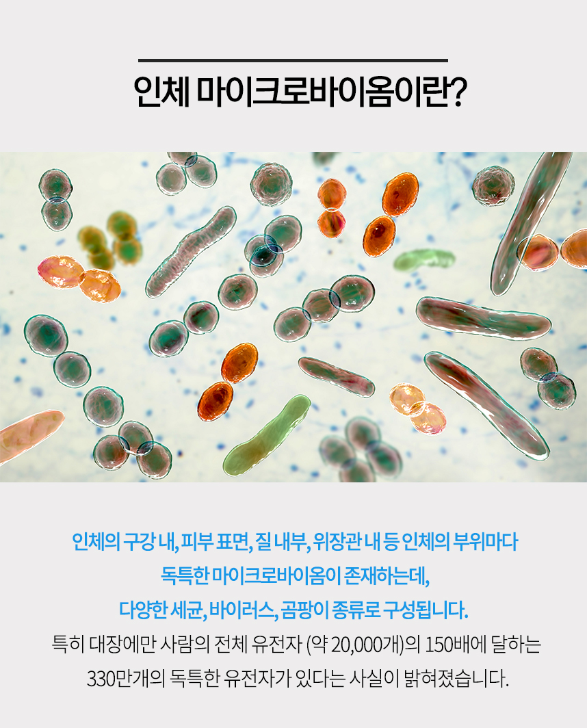 인체 마이크로바이옴이란? 인체의 구강 내, 피부 표면, 질 내부, 위장관 내 등 인체의 부위마다 독특한 마이크로바이옴이 존재하는데, 다양한 세균, 바이러스, 곰팡이 종류로 구성됩니다.