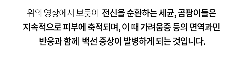 전신을 순환하는 세균, 곰팡이들을 지속적으로 피부에 축적되며, 이 때 가려움증 등의 면역과민 반응과 함께 백선 증상이 발병하게 되는 것입니다.