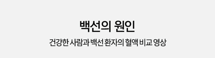 백선의 원인 건강한 사람과 백선 환자의 혈액 비교 영상