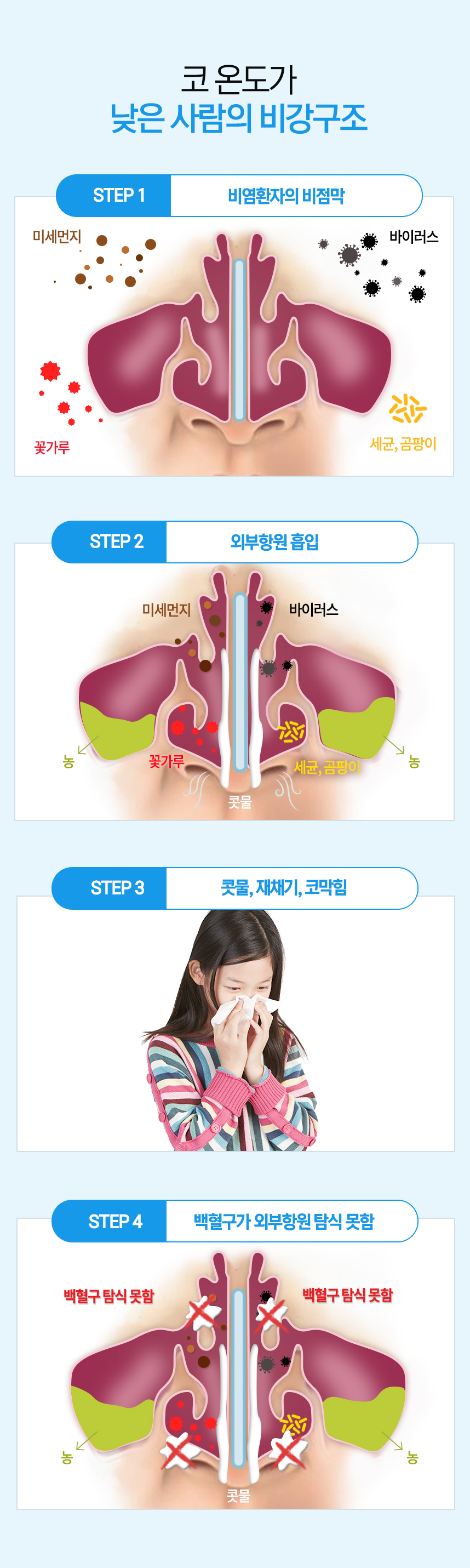 코 온도가 낮은 사람의 비강구조 1. 정상인 / 비염환자의 비점막 2. 외부항원 흡입 (미세먼지, 바이러스, 꽃가루, 세균, 곰팡이) 3. 콧물, 재채기, 코막힘 4. 백혈구가 외부항원 탐식 못함