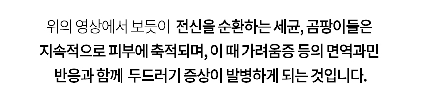 전신을 순환하는 세균, 곰팡이들을 지속적으로 피부에 축적되며, 이 때 가려움증 등의 면역과민 반응과 함께 아토피 증상이 발병하게 되는 것입니다.