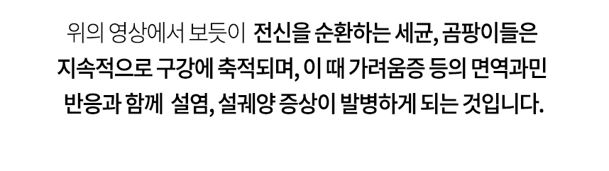 전신을 순환하는 세균, 곰팡이들을 지속적으로 구강에 축적되며, 이 때 가려움증 등의 면역과민 반응과 함께 설염, 설궤양 증상이 발병하게 되는 것입니다.