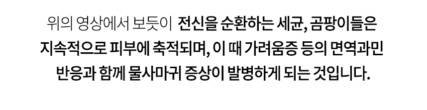 전신을 순환하는 세균, 곰팡이들을 지속적으로 피부에 축적되며, 이 때 가려움증 등의 면역과민 반응과 함께 물사마귀 증상이 발병하게 되는 것입니다.