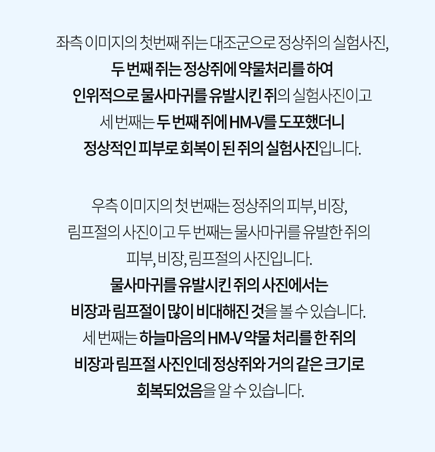 죄측 이미지는 대조군 정상쥐, 인위적으로 물사마귀 유발한 쥐, 물사마귀 유발 쥐에 HM-V 도포 후 정상 회복 된 쥐 사진 / 우측 이미지는 대조군 정상 쥐의 피부, 비장, 림프절, 인위적으로 물사마귀 유발한 쥐의 비대해진 비장, 림프절, 물사마귀 유발 쥐에 HM-V 도포 후 정상쥐와 거의 같은 크기로 회복된 비장, 림프절 사진