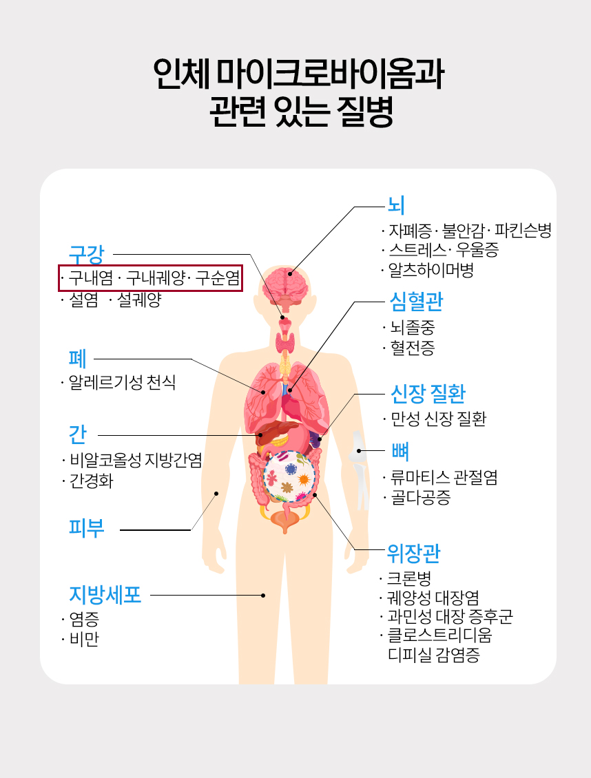 인체 마이크로바이옴과 관련 있는 질병 그래프