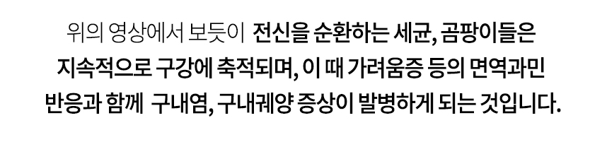 전신을 순환하는 세균, 곰팡이들을 지속적으로 구강에 축적되며, 이 때 가려움증 등의 면역과민 반응과 함께 설염, 설궤양 증상이 발병하게 되는 것입니다.