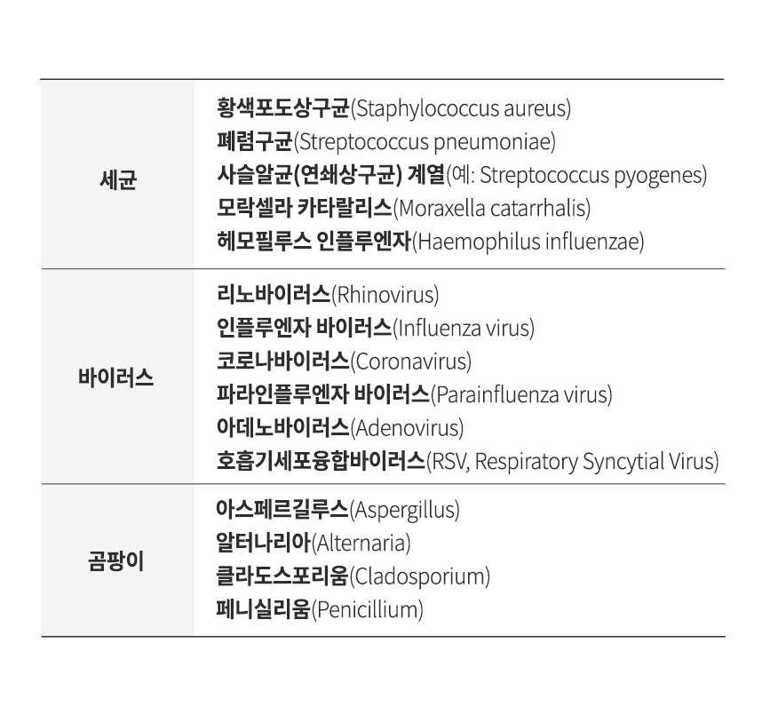 세균, 바이러스, 곰팡이 종류