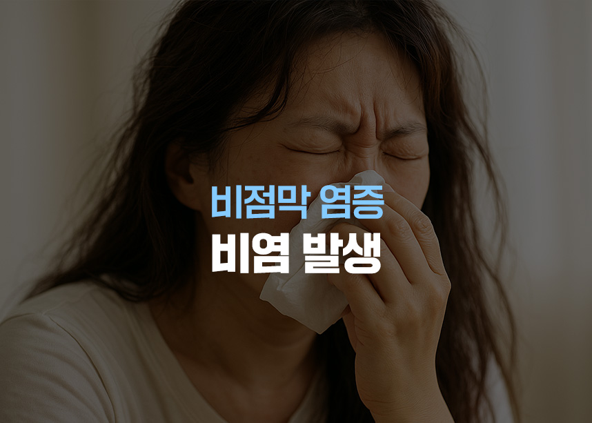 비점막 염증 비염 발생