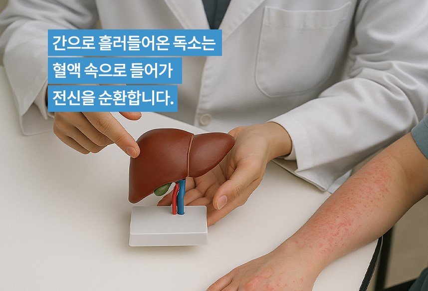 건선의 원리에 대해 설명하는 하늘마음한의원 한의사 