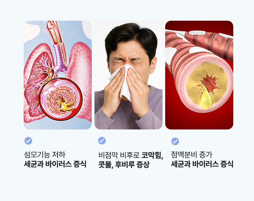 모기능 저하 세균과 바이러스 증식. 비점막 비후로 코막힘, 콧물, 후비루 증상. 점액분비 증가 세균과 바이러스 증식