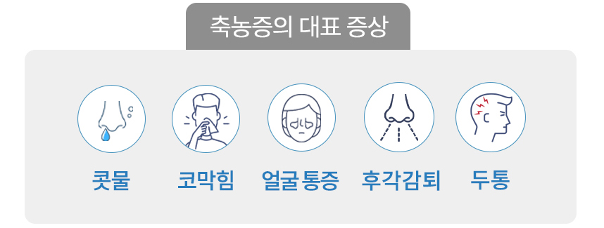 비염의 대표 증상 : 콧물, 코막힘, 코 가려움, 재채기, 두통