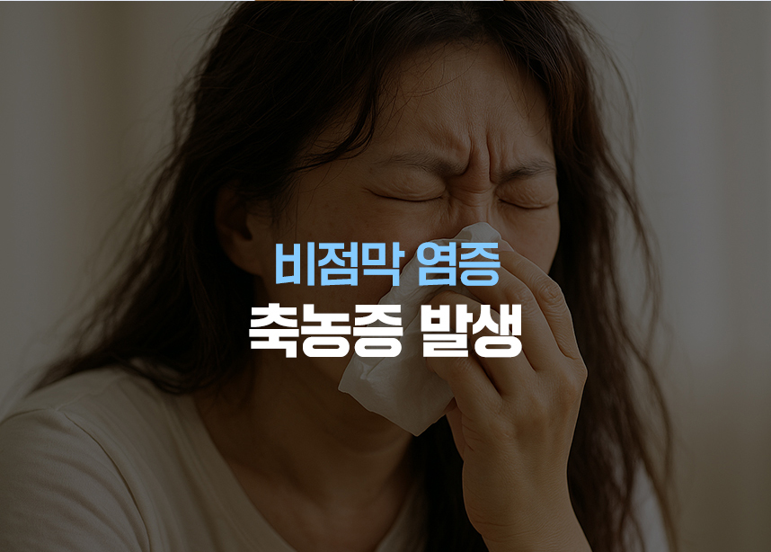 비점막 염증 비염 발생